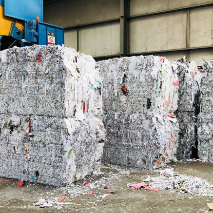 Paper & Cardboard Recycling