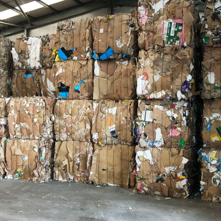 Paper & Cardboard Recycling